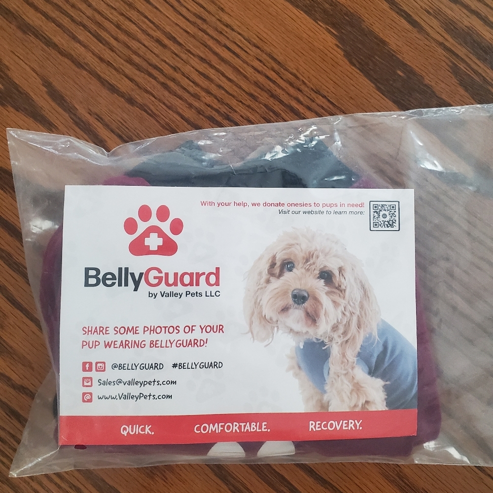 Belly Guard pet onsie
